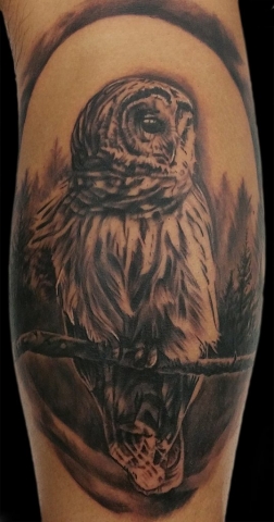 owl tattoo