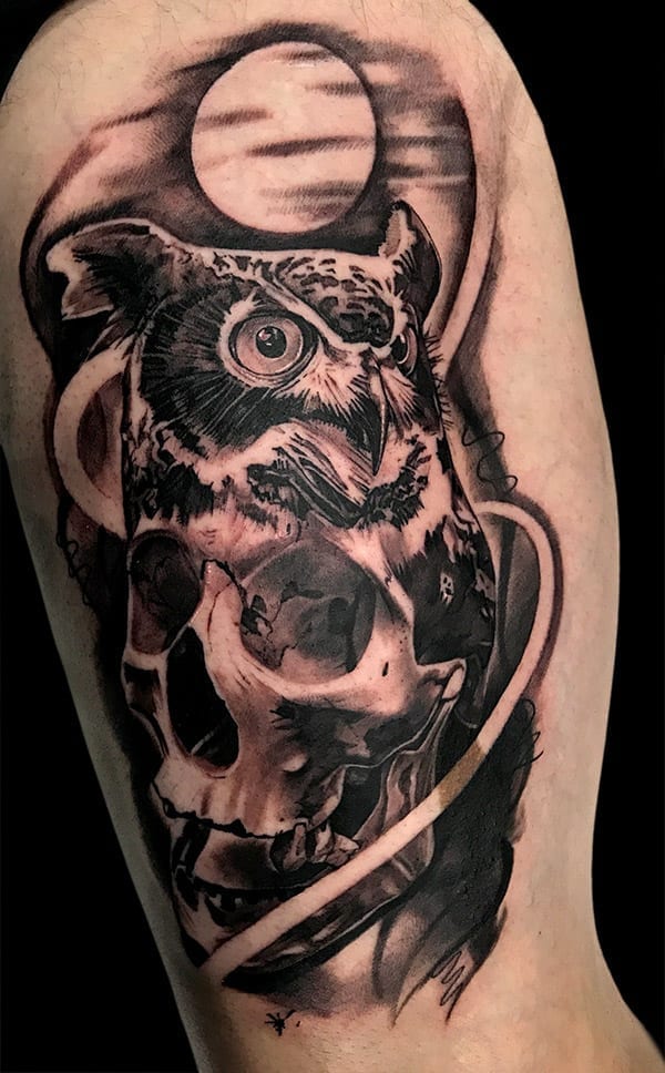 skull and owl