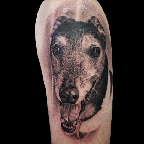 realistic dog portrait