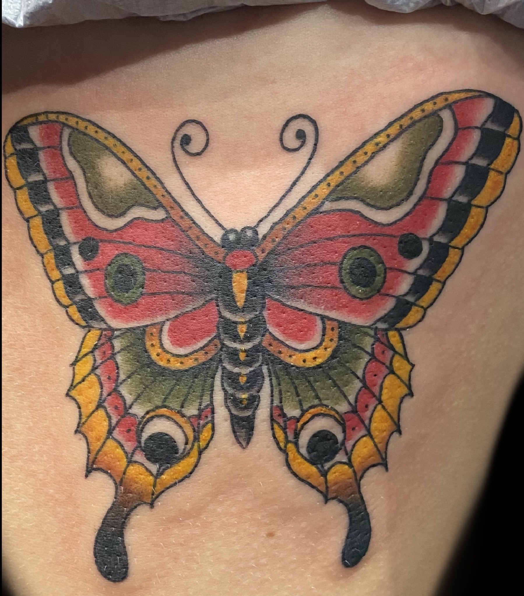 traditional butterfly tattoo