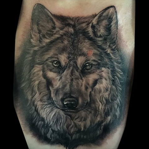 realistic wolf portrait tattoo