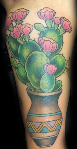 traditional cactus tattoo