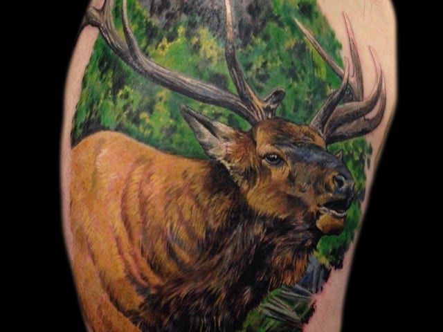 deer elk tattoo
