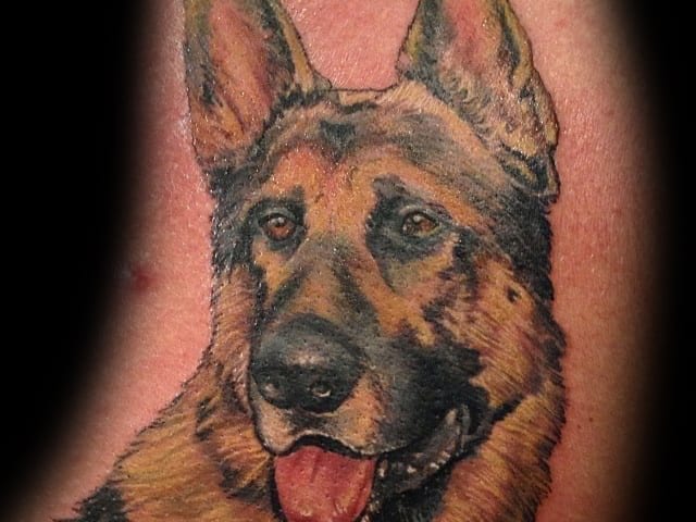 realistic dog portrait tattoo