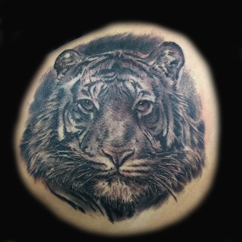tiger tattoo portrait
