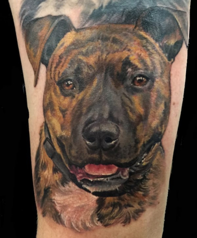 dog portrait tattoo