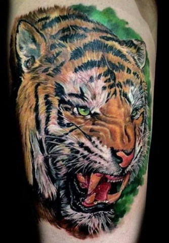 realistic tiger portrait tattoo