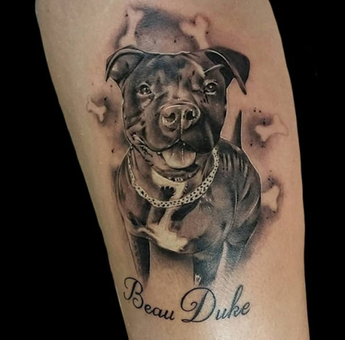 dog portrait, Elijah Nguyen, Artist at Revolt Tattoos
