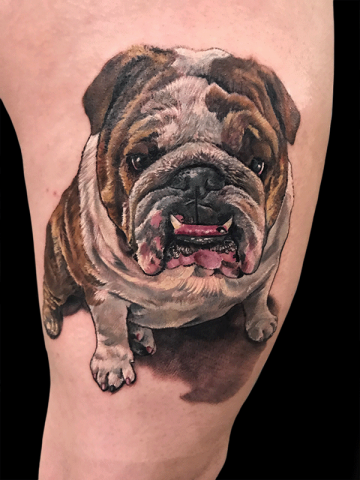 realistic bulldog portrait tattoo
