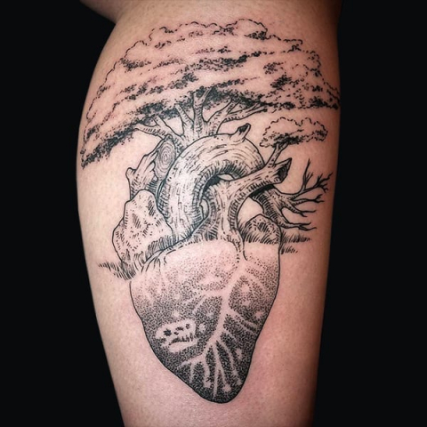 anatomical heart tree tattoo