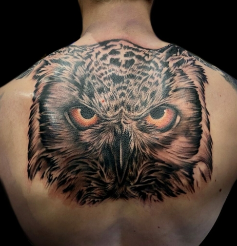 Realistic owl back tattoo