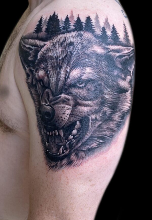 Realistic wolf tattoo design