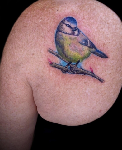 color realism bird tattoo