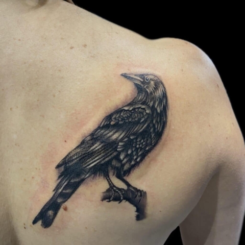 photorealistic raven tattoo, Tattoo by Krystof, Artist at Revolt Tattoos