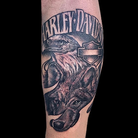 Harley Davidson wolf and eagle tattoo