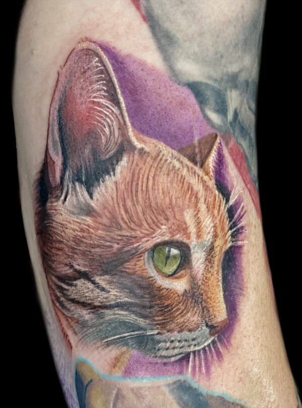 realistic color cat portrait tattoo