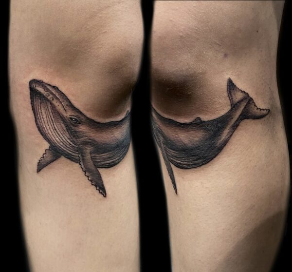 Whale tattoo