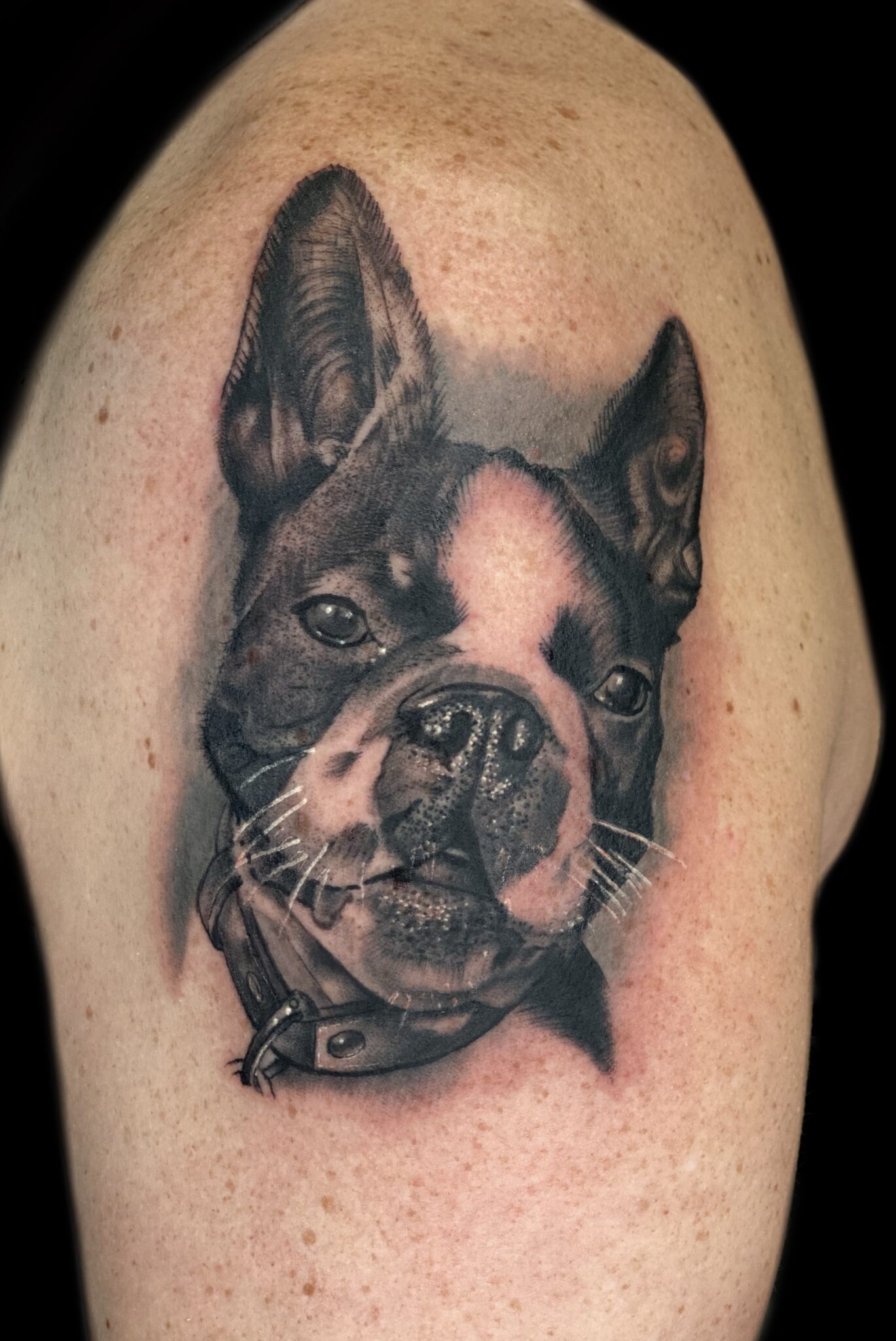 Photorealistic dog portrait tattoo