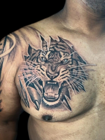 Realistic tiger tattoo Steve Rivas