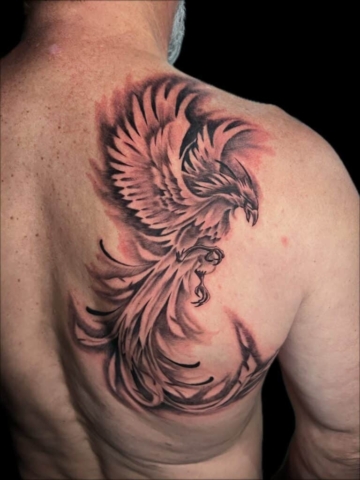 black and grey phoenix tattoo, Steve Rivas, artist at Revolt Tattoos