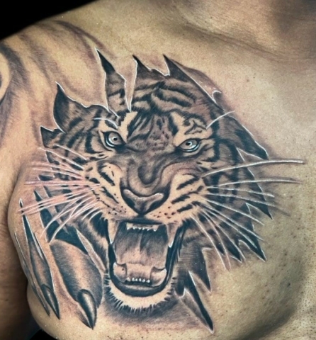 Black and gray tiger, Steve Rivas, artist at Revolt Tattoos