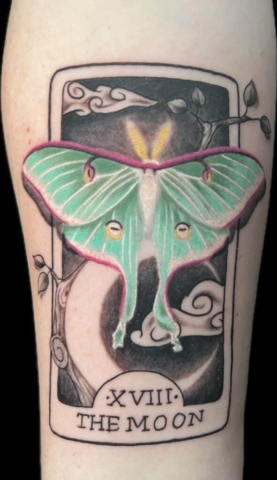 Moth, tarot card, Steve Rivas, artist at Revolt Tattoos