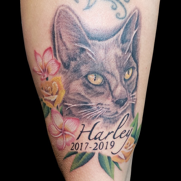 realistic cat portrait tattoo