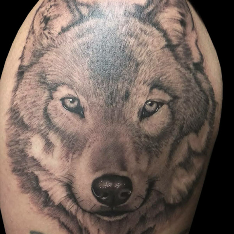 realistic wolf portrait tattoo
