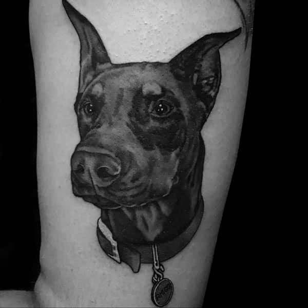 doberman dog portrait tattoo