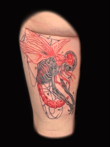 skeleton dragonfly tattoo, Russell Loo, Artist at Revolt Tattoos