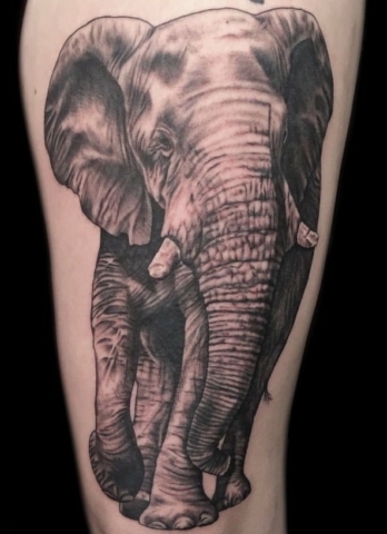 realistic elephant tattoo