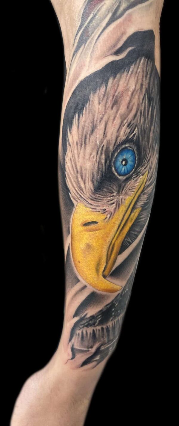 Realistic eagle tattoo