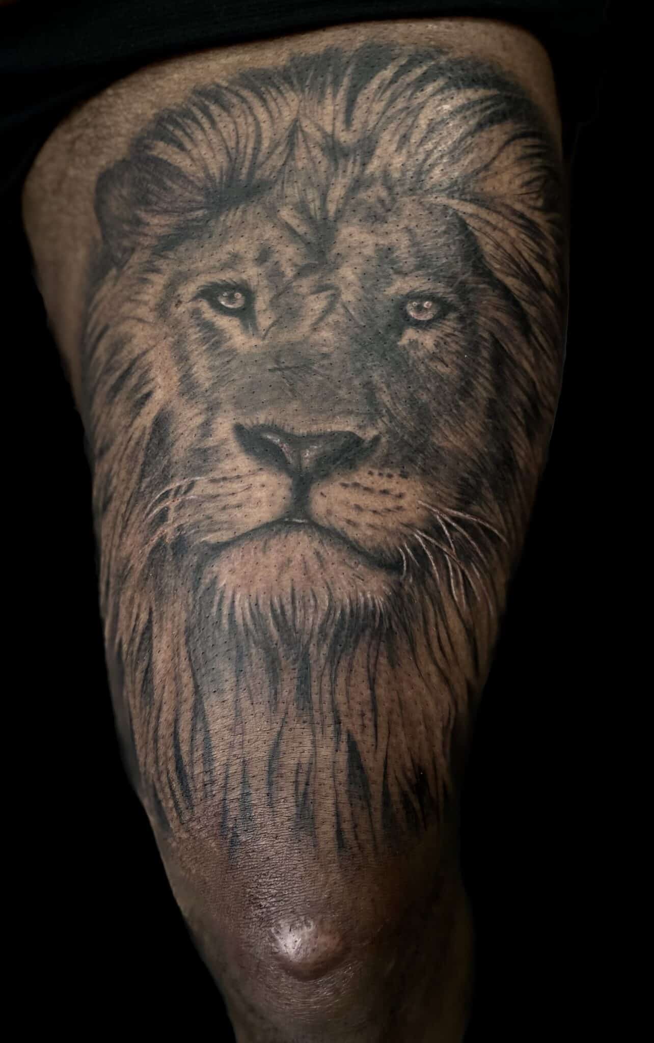 realistic black and grey lion tattoo, Jackie Gutierrez , Tattoo Artist at Revolt Tattoos in Las Vegas