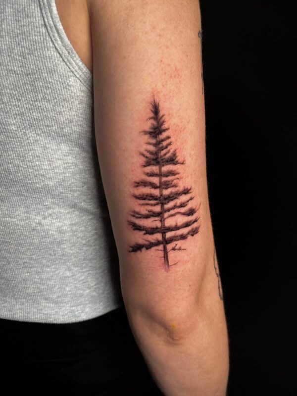 alpine tree tricep tattoo, Demi DiMartino, artist at Revolt Tattoos