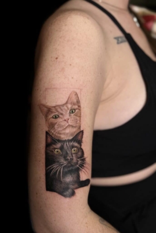 Cat portraits, Jackie Gutierrez | Tattoo Artist at Revolt Tattoos in Las Vegas, Nevada.