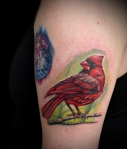 Realistic Cardinal Tattoo | Krystof | Owner/Tattoo Artist at Revolt Tattoos Las Vegas, Nevada.